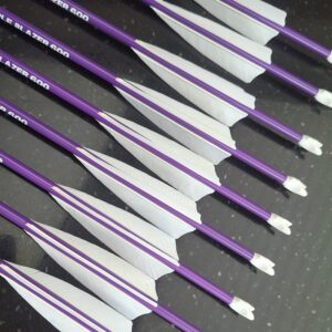 Pfeile PURPLE BLAZER komplett